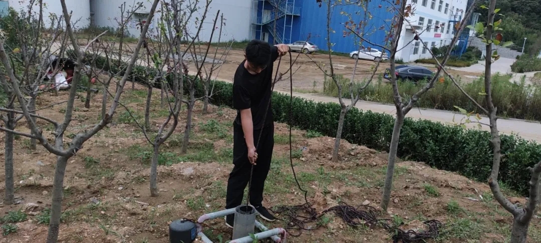 1630375148600717.jpg 2.webp.jpg